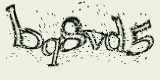Проверочный код